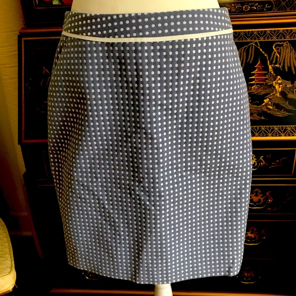 The limited skirt  blue white polka dot size 8